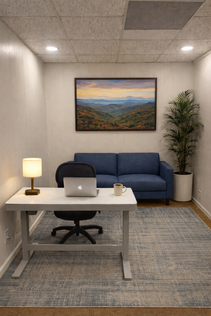 Professional Office Space Ellijay GA