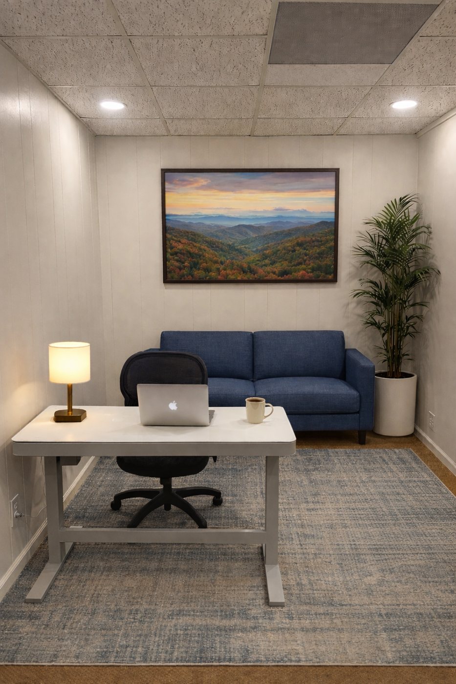 A renovated Ellijay Hub office suite with a desk, a sofa and a plant